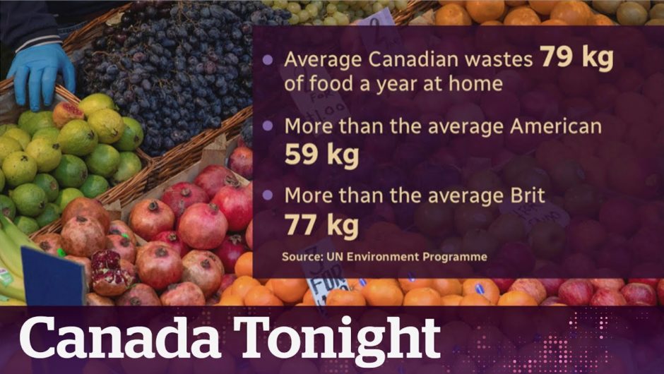 UN report reveals Canadians waste more than 79 kg of food annually