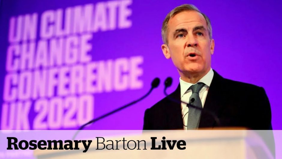 Carney hopes pandemic urgency carries over to tackling climate change