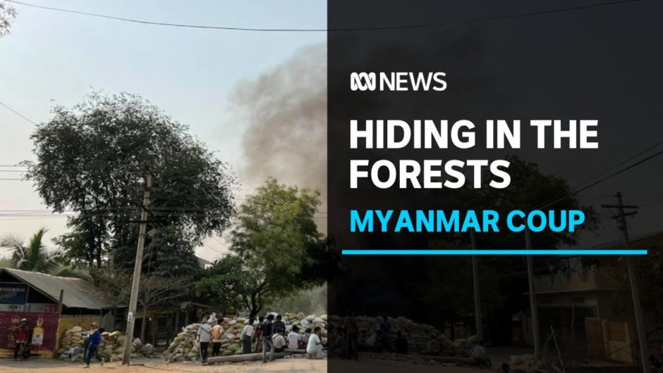 "People are hiding in the forests" Villagers escaping violence in Myanmar left stranded I ABC News