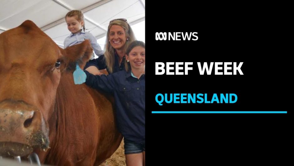 Beef 2021, Rockhampton's premier agriculture event, gets underway | ABC News