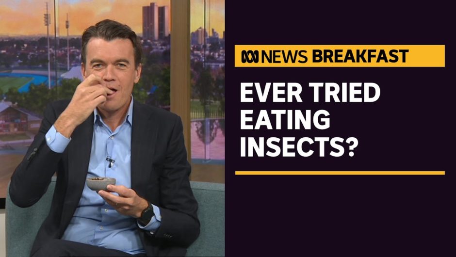 How eating insects could help improve Aussie diets | ABC News