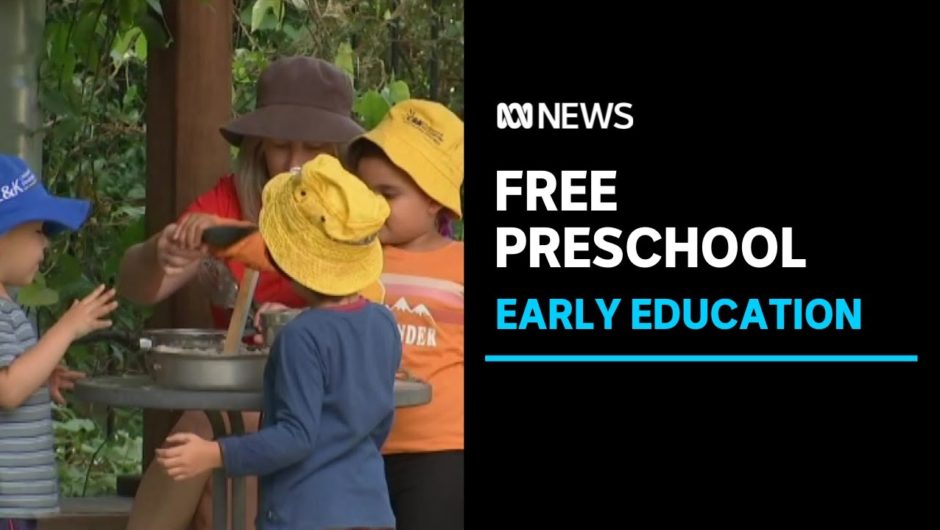 The growing calls for preschool to be made free for all Australian children | ABC News