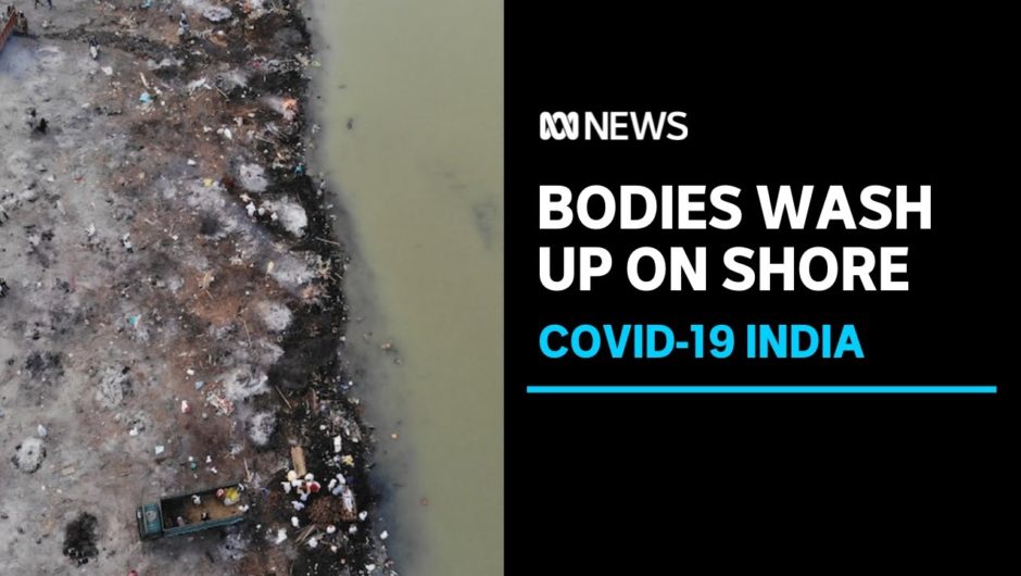 Indian COVID-19 strain of global concern, WHO warns, as bodies wash up on banks of Ganges | ABC News