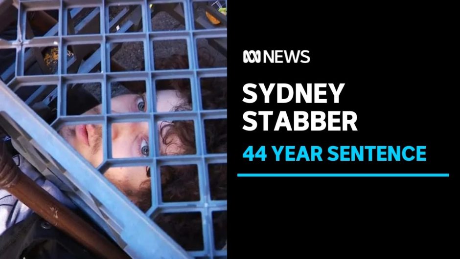 Sydney CBD killer jailed for 44 years over murder of Michaela Dunn