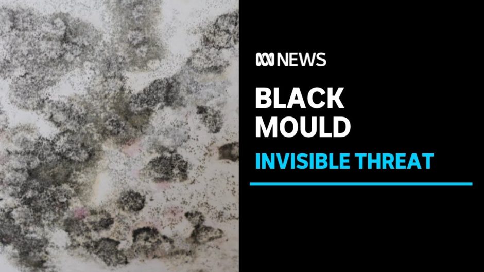 Black mould an invisible threat growing behind walls of flood-affected homes | ABC News