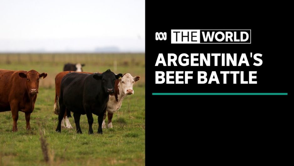 China left in the lurch as tensions build over Argentina's beef export ban | The World