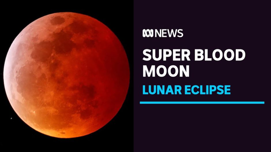 There's a supermoon and a lunar eclipse tonight | ABC News