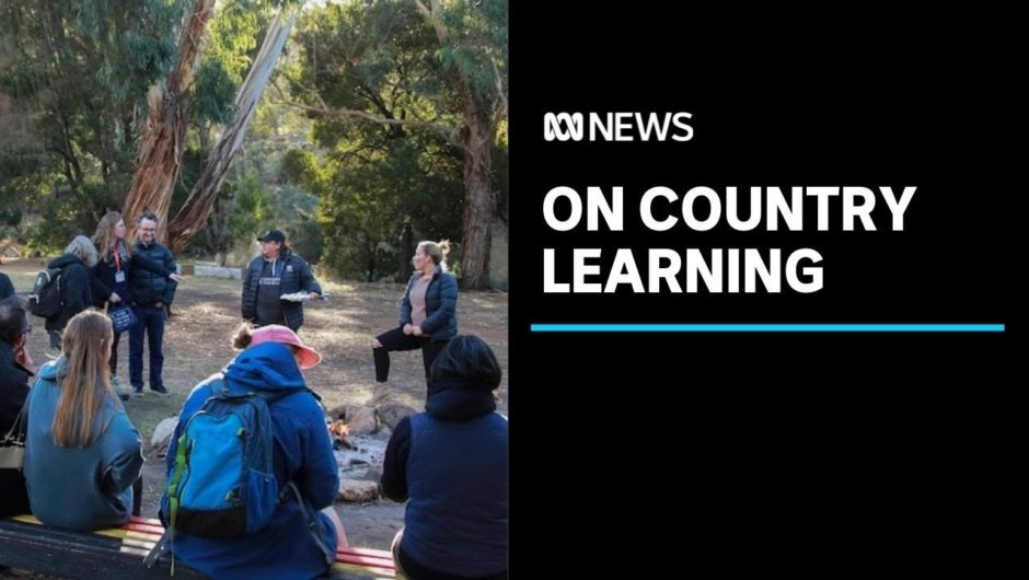 University of Tasmania's new subject aims to 'indigenise' teaching | ABC News