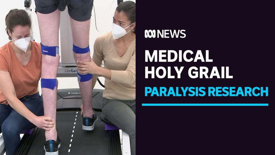 Trial underway to help the paralysed to walk again | ABC News