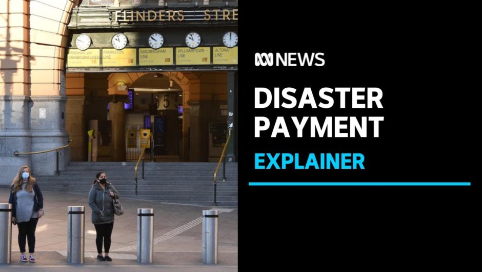 What is the new temporary COVID disaster payment? | ABC News