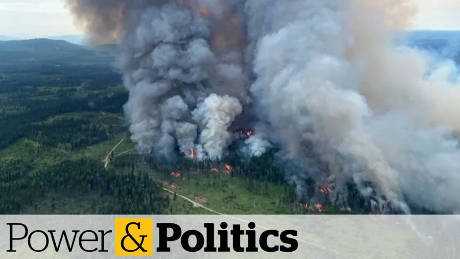 MLA says B.C. is 'literally up in smoke'