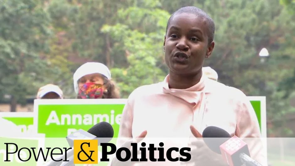 Annamie Paul says campaign against her leadership made her consider quitting