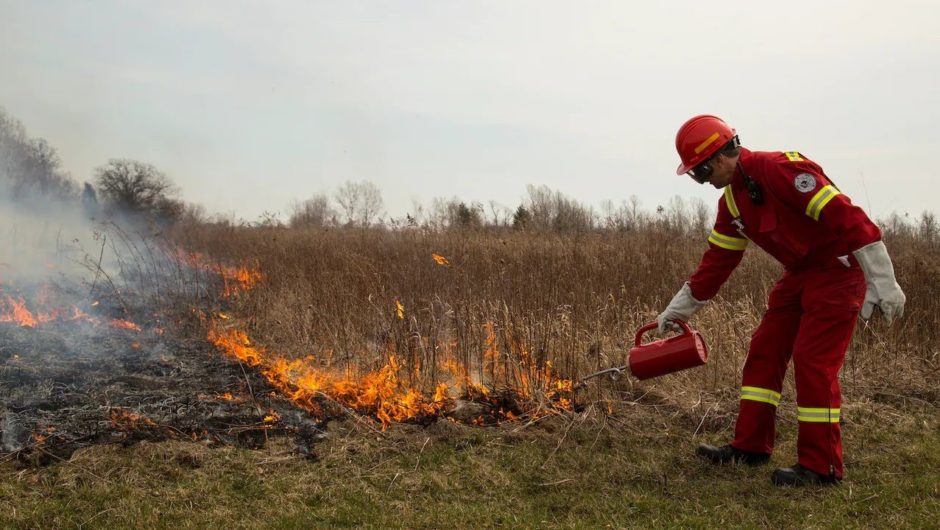 B.C. policy-makers urged to embrace controlled burns to reduce wildfire risk