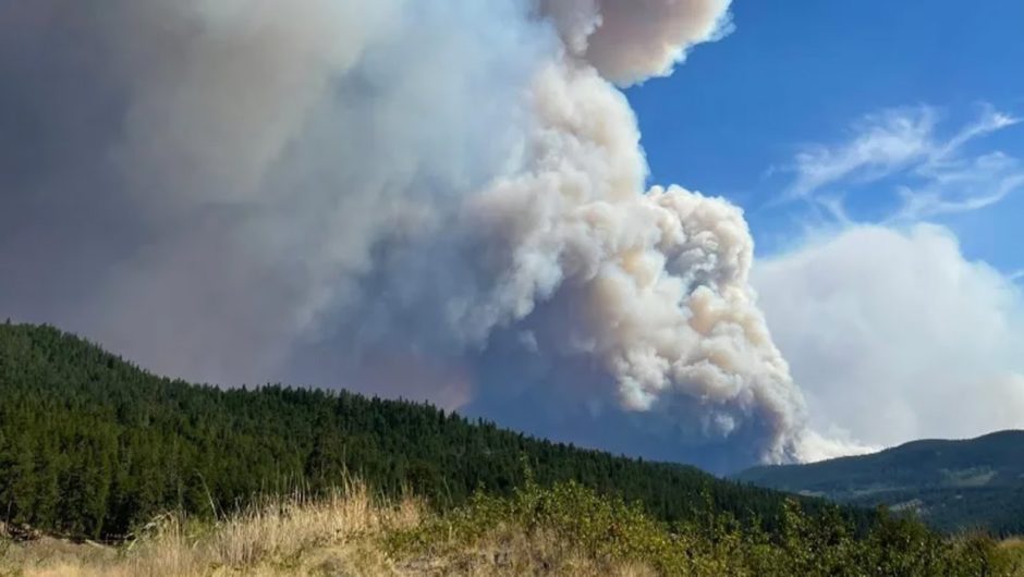 Most of Vernon, B.C., on evacuation alert due to White Rock Lake wildfire