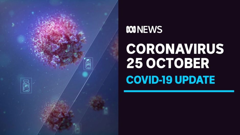 COVID-19 25 Oct. | NSW reaches 500 deaths from outbreak, students return to school | ABC News