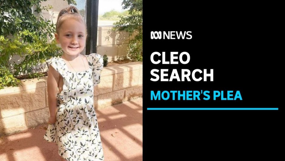 Missing four-year-old's mother has made a new appeal for her safe return on social media | ABC News