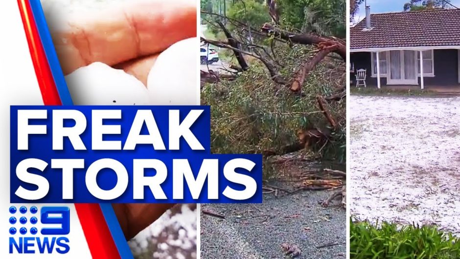 Freak storm unleashes on NSW | 9 News Australia