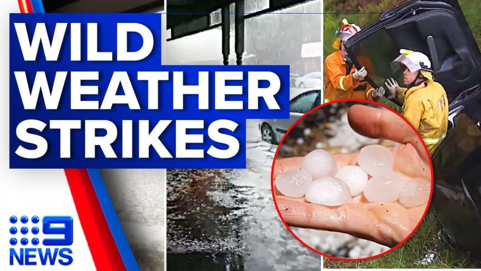 Schools closed as wild storms batter South Australia | 9 News Australia