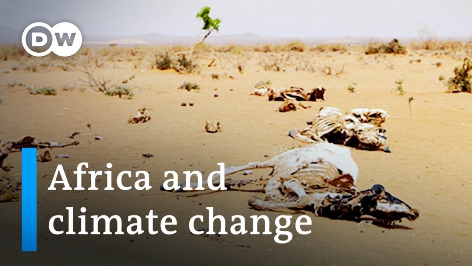 How Africa is bearing the brunt of climate change | DW News