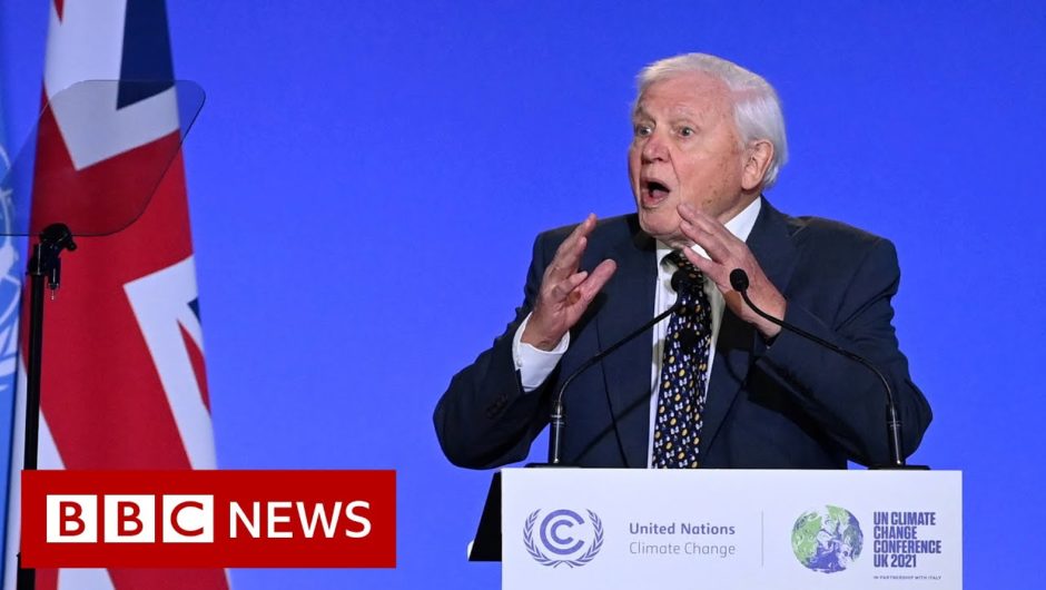 Attenborough tells COP26 conference delegates: 'The world is looking to you' – BBC News