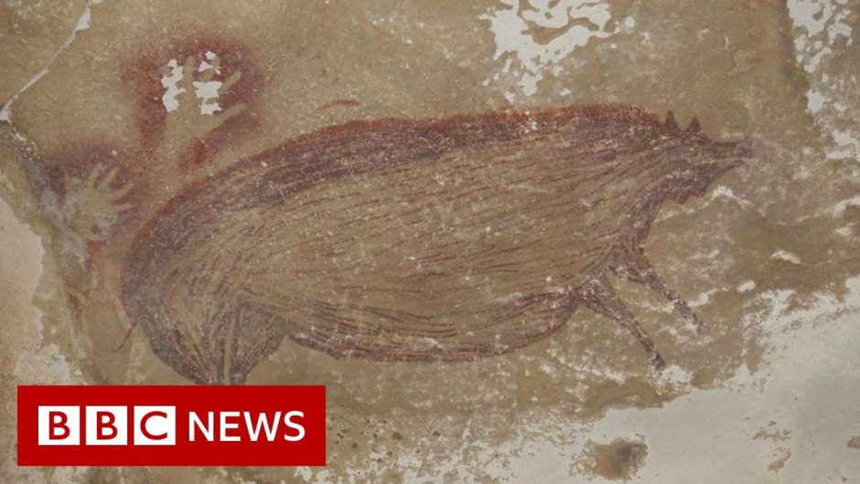 World's oldest animal cave painting in Indonesia – BBC News