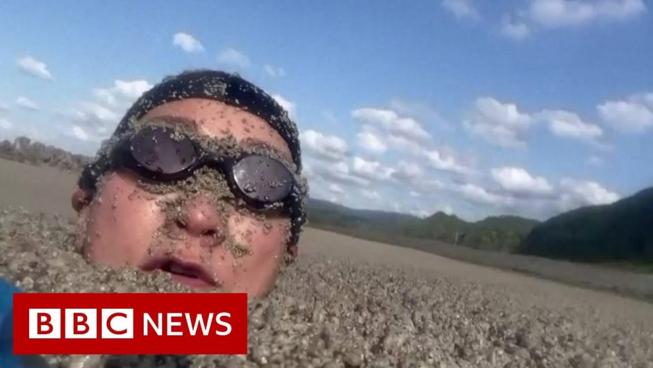 Swimming through pumice stone after underwater volcanic eruption – BBC News