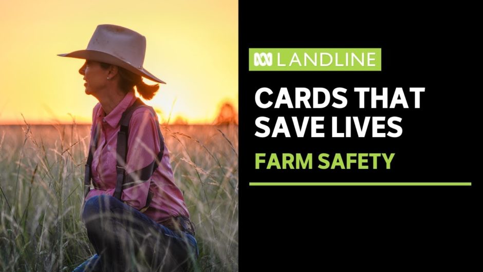 An emergency card saved Gayle Shann's life and one could save yours | Landline