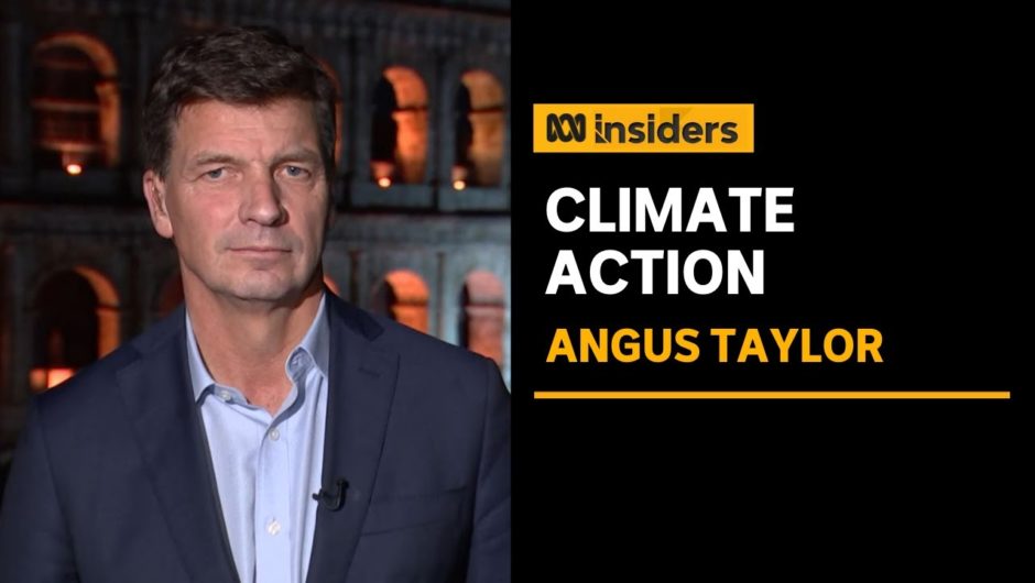 Energy Minister says Govt's net zero emissions plans don't go past 2030 | Insiders | ABC News