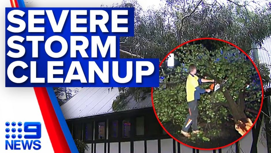 Cleanup begins in South Australia after wild weather | 9 News Australia