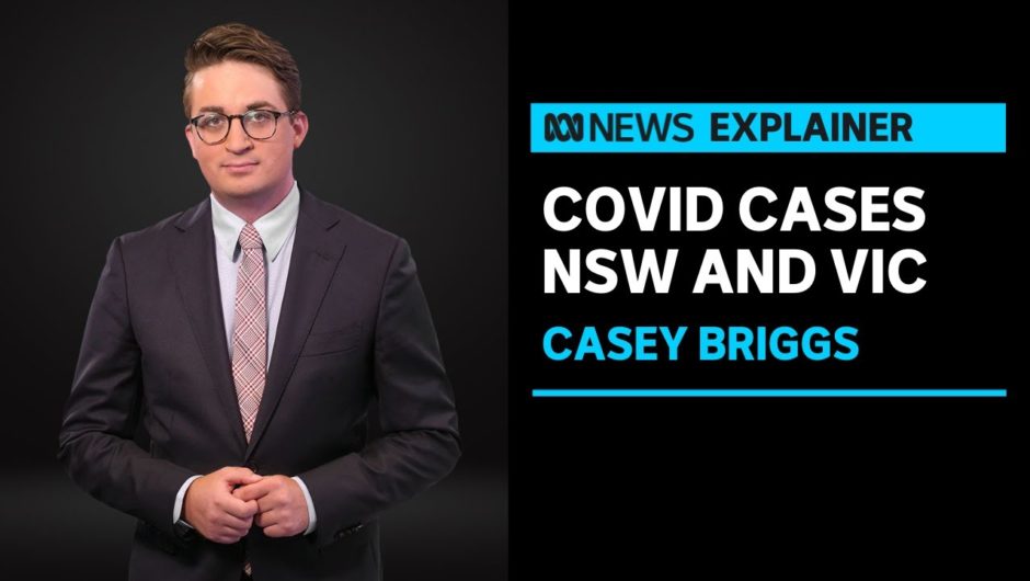 Rise in COVID-19 cases in Victoria and New South Wales | ABC News