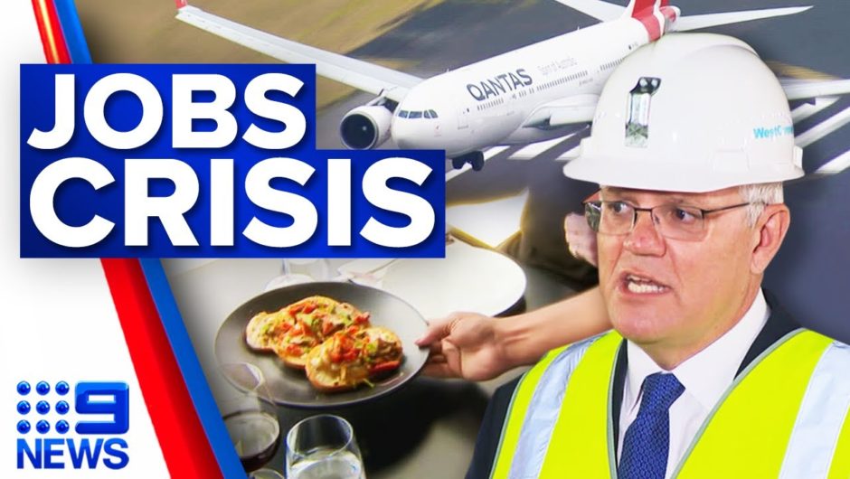 Overseas workers could be brought in to support hospitality jobs crisis | 9 News Australia