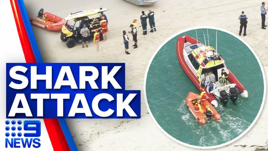 Swimmer missing after Perth shark attack | 9 News Australia