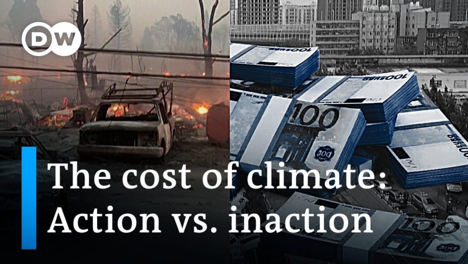 Cutting the catastrophic cost of climate change | DW News