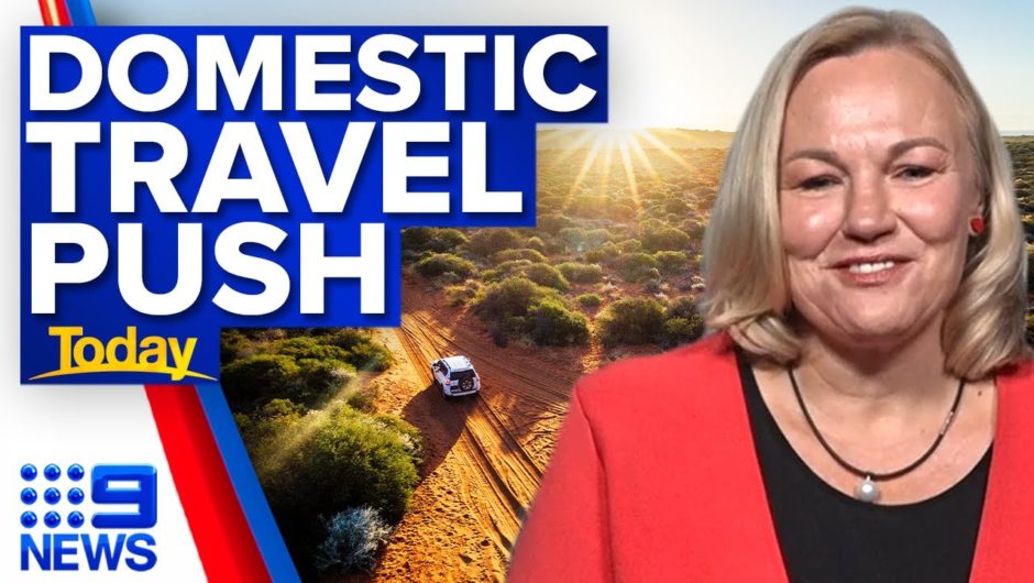 Industry leaders urging Aussies to holiday at home | 9 News Australia