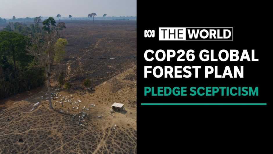 Indigenous leaders and climate activists sceptical of COP26 deforestation pact | The World