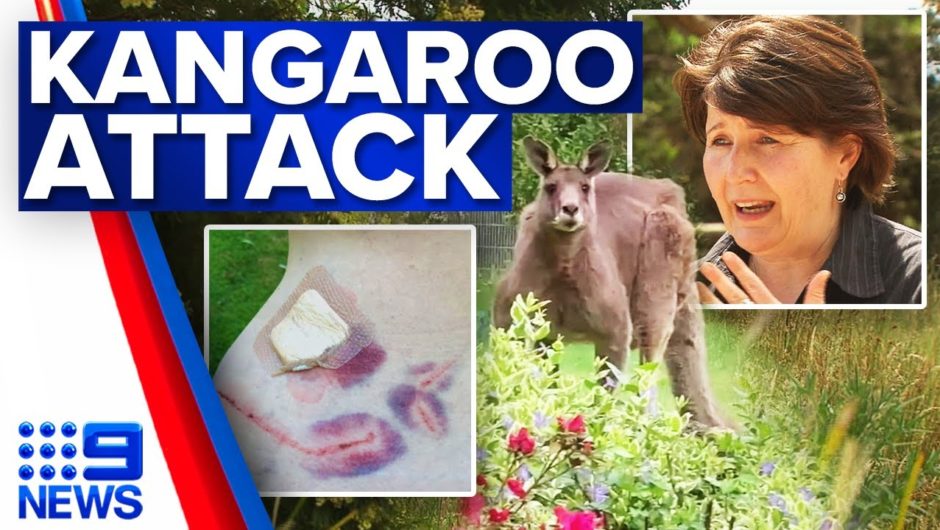 Melbourne woman survives horrifying kangaroo attack in backyard | 9 News Australia