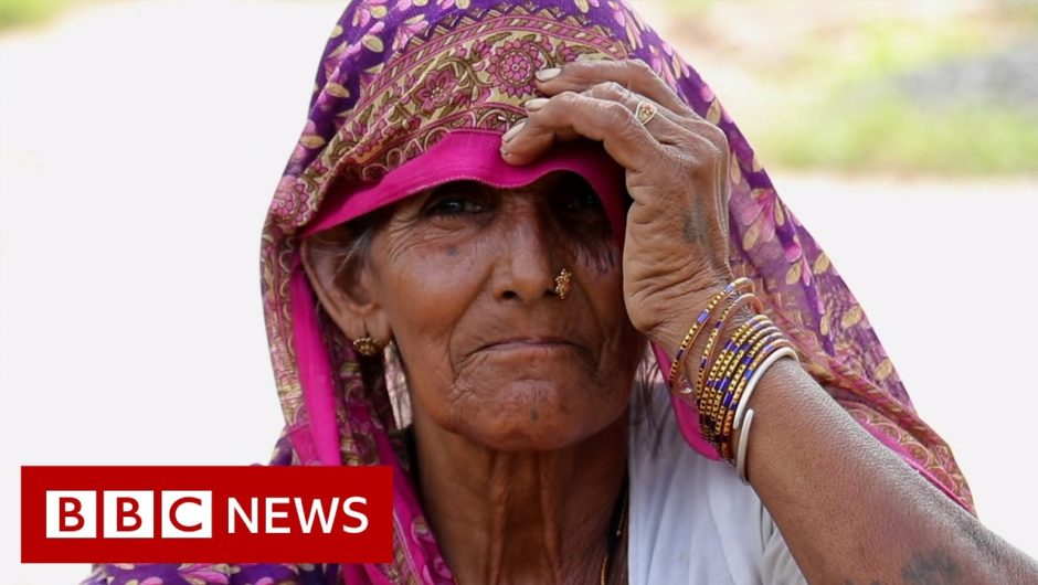 The community trying to save its forest – BBC News