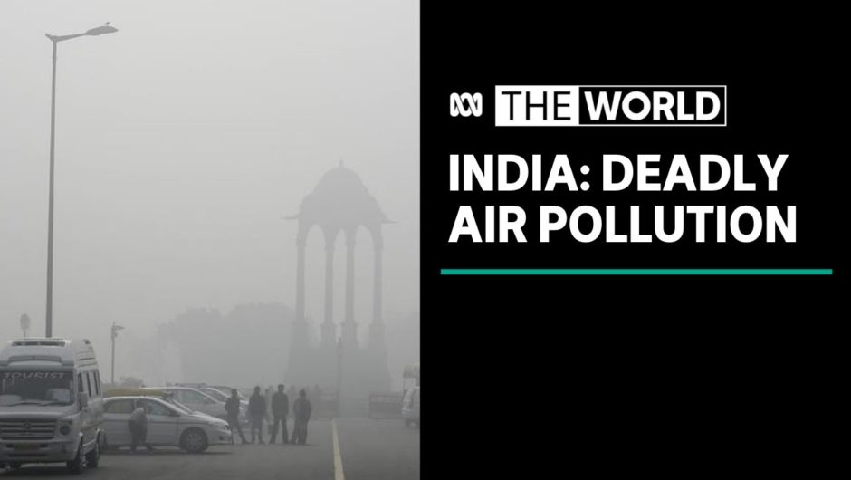 Delhi still trapped under blanket of smog days after Diwali festival | The World