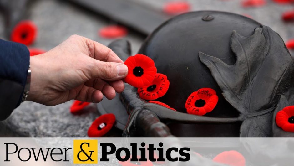 On Remembrance Day, Canada's defence minister reflects on veterans, soldiers