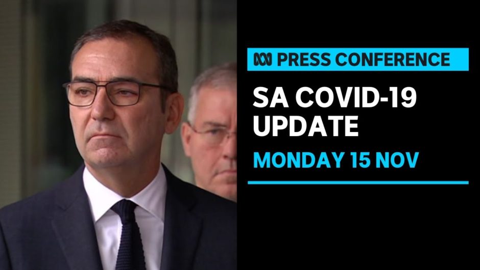 IN FULL: SA Premier updates state's COVID-19 ready plan | ABC News