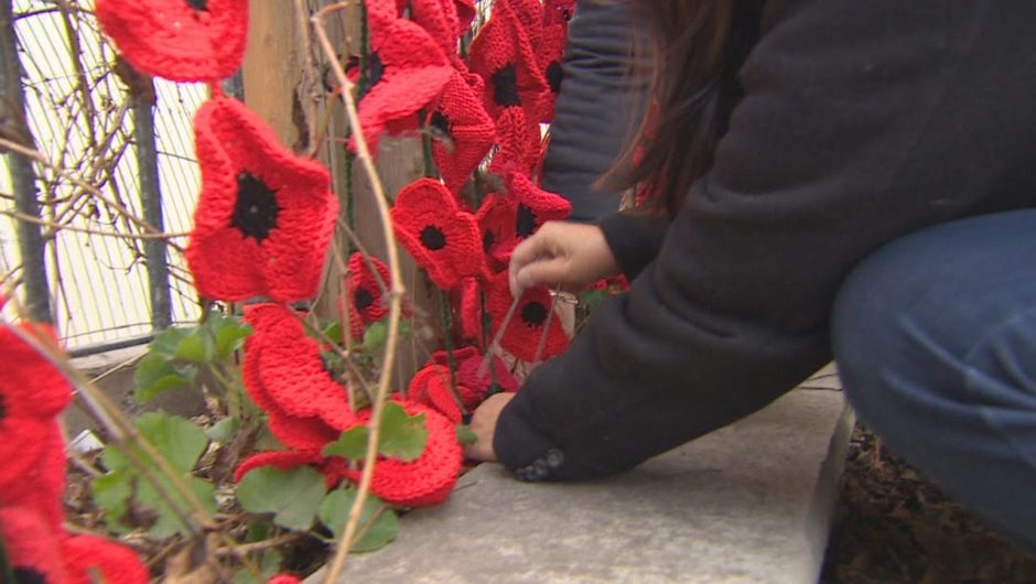 Thousands of poppies deck Ontario town for Remembrance Day