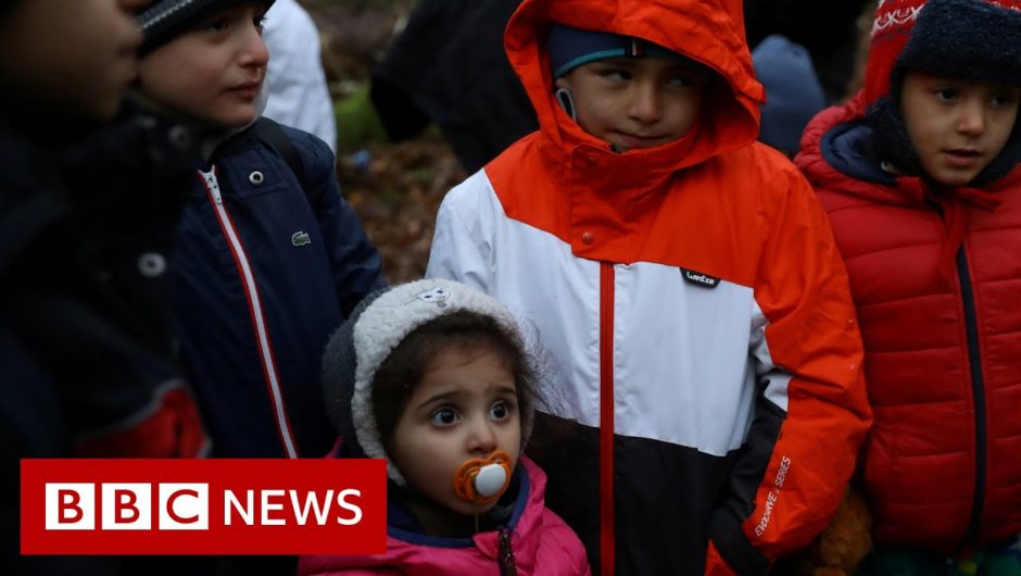 Stranded in the freezing darkness of a Polish forest – BBC News