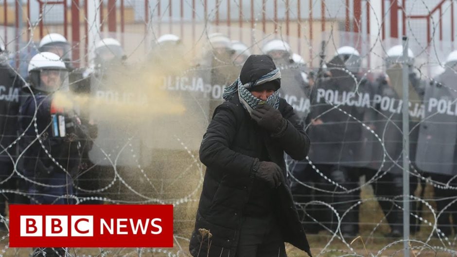 Polish forces use tear gas on migrants trying to cross from Belarus – BBC News