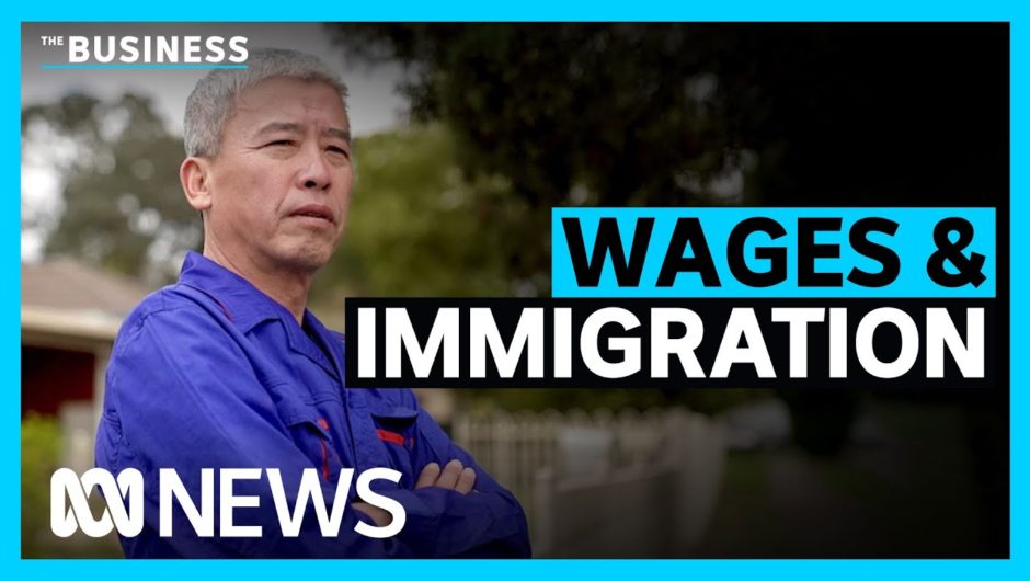 Does mass migration push wages growth lower for everyone? | ABC News