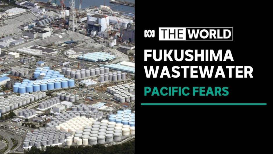 Pacific concerns over plans to release contaminated water from Fukushima | The World