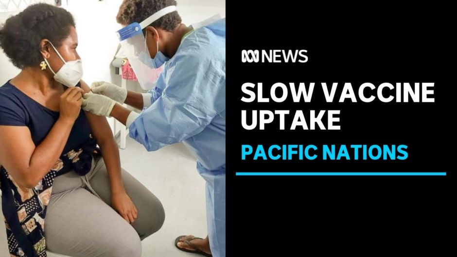 Some Melanesian nations may take years to achieve fully vaccinated coverage | ABC News