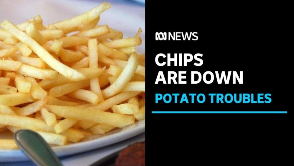 Potato shortfall expected as wet weather and fertiliser issues squeeze spud growers | ABC News