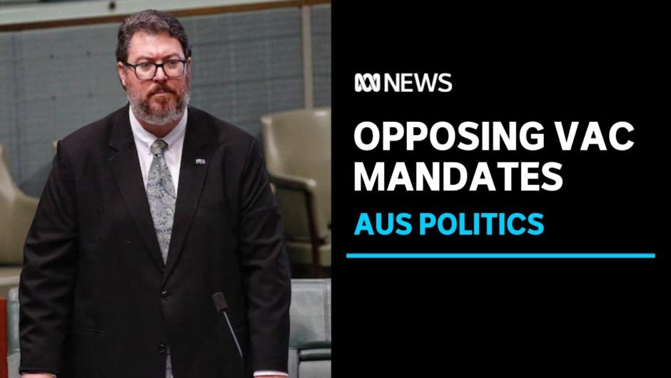 George Christensen likened state COVID restrictions to Nazi Germany | ABC News