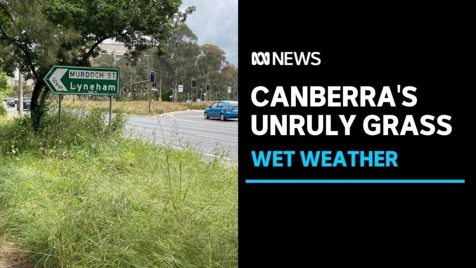 Canberra's wet winter puts mowers two weeks behind schedule | ABC News