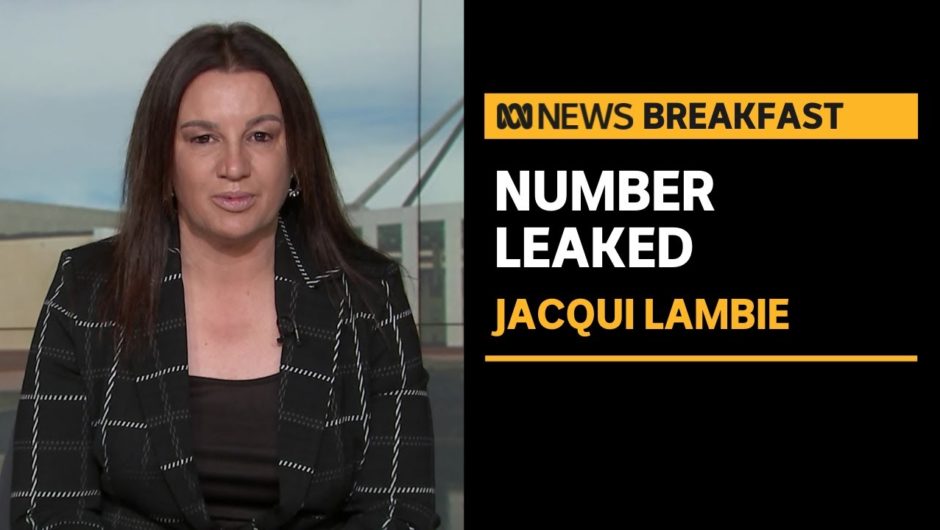 Jacqui Lambie accuses One Nation of leaking her phone number | ABC News